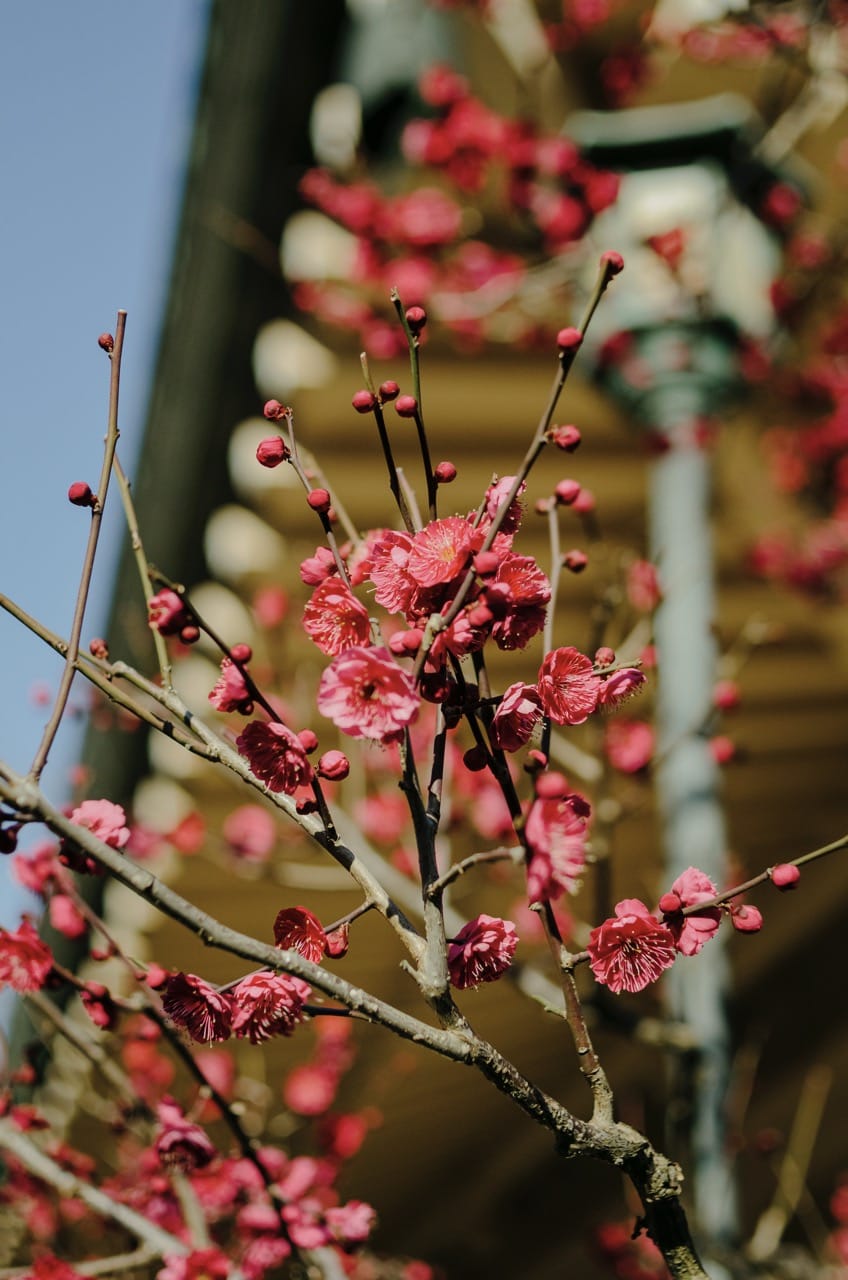 Превью Tokyo 2024